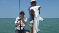 Fintastic Charters