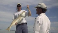Everglades Fishing Fishing Charters