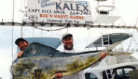Islamorada Fishing Charter Boat Listings in the Florida Keys Kalex Sportfishing in Islamorada FL