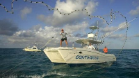 Islamorada Fishing Charter Boat Listings in the Florida Keys Contagious Charters in Islamorada FL
