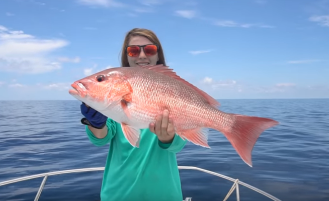 Saltwater Fishing Tips for an Awesome Fishing Experience